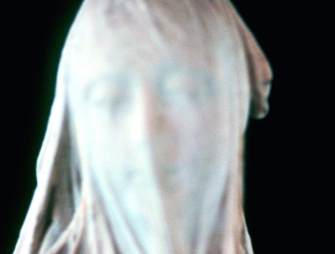 Nan Goldin Veiled Woman, 2010 © Nan Goldin Courtesy Gagosian