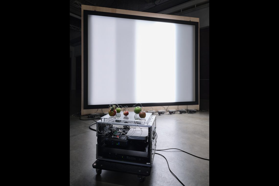 Yuko Mohri Decomposition, 2021-ongoing (detail) Installation view, Pirelli HangarBicocca, Milan, 2025 Courtesy the artist and Pirelli HangarBicocca, Milan Photo Agostino Osio