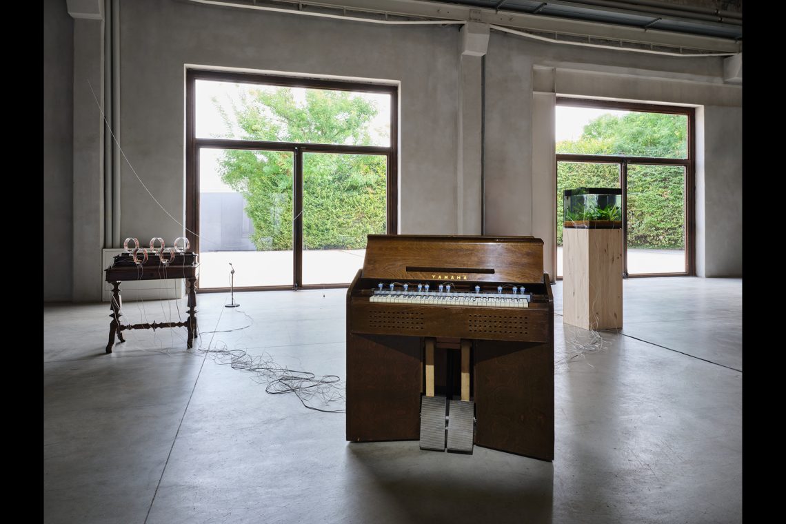 Yuko Mohri Flutter, 2018-2025 Installation view, Pirelli HangarBicocca, Milan, 2025 Courtesy the artist and Pirelli HangarBicocca, Milan Photo Agostino Osio