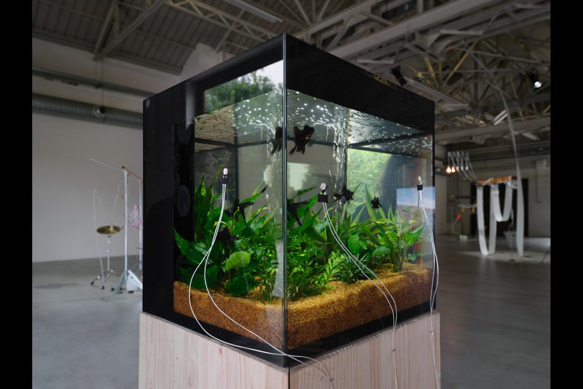 Yuko Mohri Flutter, 2018-2025 (detail) Installation view, Pirelli HangarBicocca, Milan, 2025 Courtesy the artist and Pirelli HangarBicocca, Milan Photo Agostino Osio