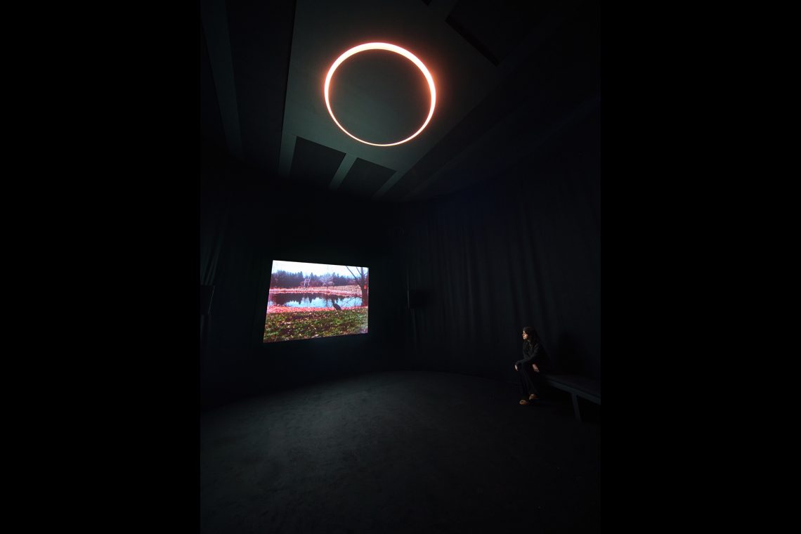 Nan Goldin You Never Did Anything Wrong, 2024 Veduta dell’installazione, Pirelli HangarBicocca, Milano, 2025 © Nan Goldin Courtesy l’artista, Gagosian, e Pirelli HangarBicocca, Milano Foto Agostino Osio