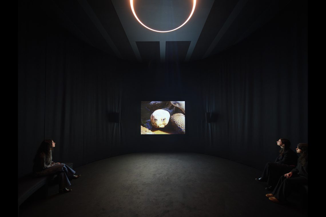 Nan Goldin You Never Did Anything Wrong, 2024 Veduta dell’installazione, Pirelli HangarBicocca, Milano, 2025 © Nan Goldin Courtesy l’artista, Gagosian, e Pirelli HangarBicocca, Milano Foto Agostino Osio