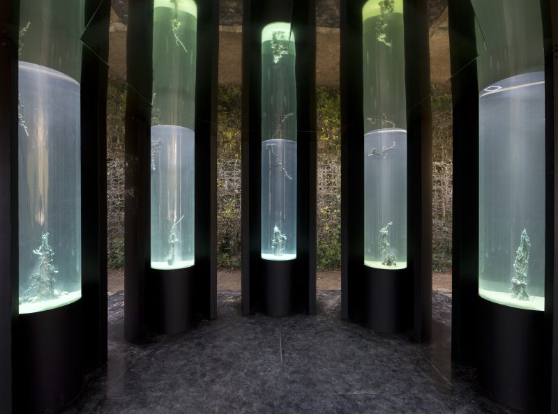 Hicham Berrada Matrice minérale, 2019 Veduta dell’installazione, “Voyage d’Hiver”, Jardin du château de Versailles, Francia, 2019 Courtesy l’artista, Mennour, Parigi, e WENTRUP, Berlino © 2025 Hicham Berrada / SIAE Foto Hicham Berrada