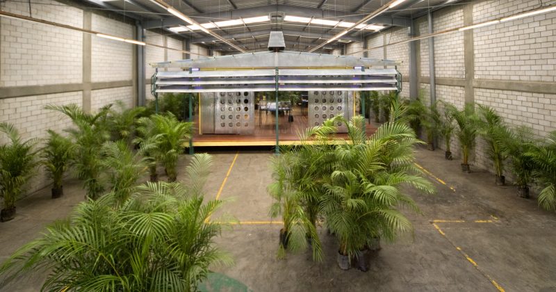 Rirkrit Tiravanija untitled 2006 (palm pavilion), 2006-08 Veduta dell’installazione, kurimanzutto, Città del Messico, 2008 Courtesy l’artista e kurimanzutto