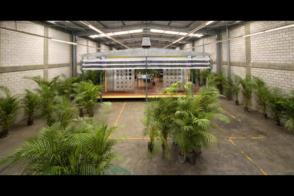 Rirkrit Tiravanija untitled 2006 (palm pavilion), 2006-08 Installation view, kurimanzutto, Mexico City, 2008 Courtesy the artist and kurimanzutto